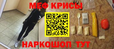 спайс Кингисепп