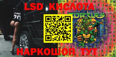 амф Кимры