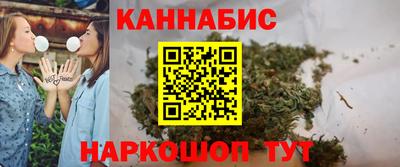 спайс Кингисепп
