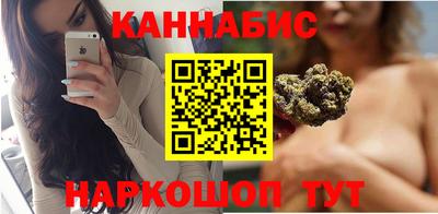 спайс Кингисепп