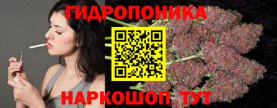амф Кимры