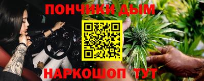 спайс Кингисепп