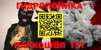 амф Кимры
