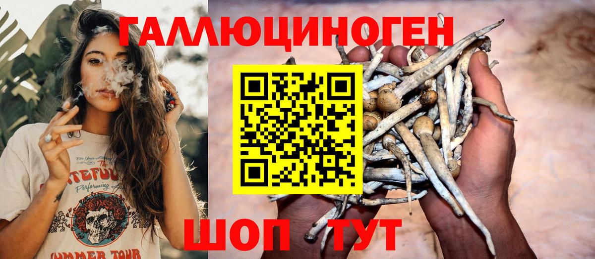 Галлюциногенные грибы Psilocybe  Вход с VPN  Канаш 